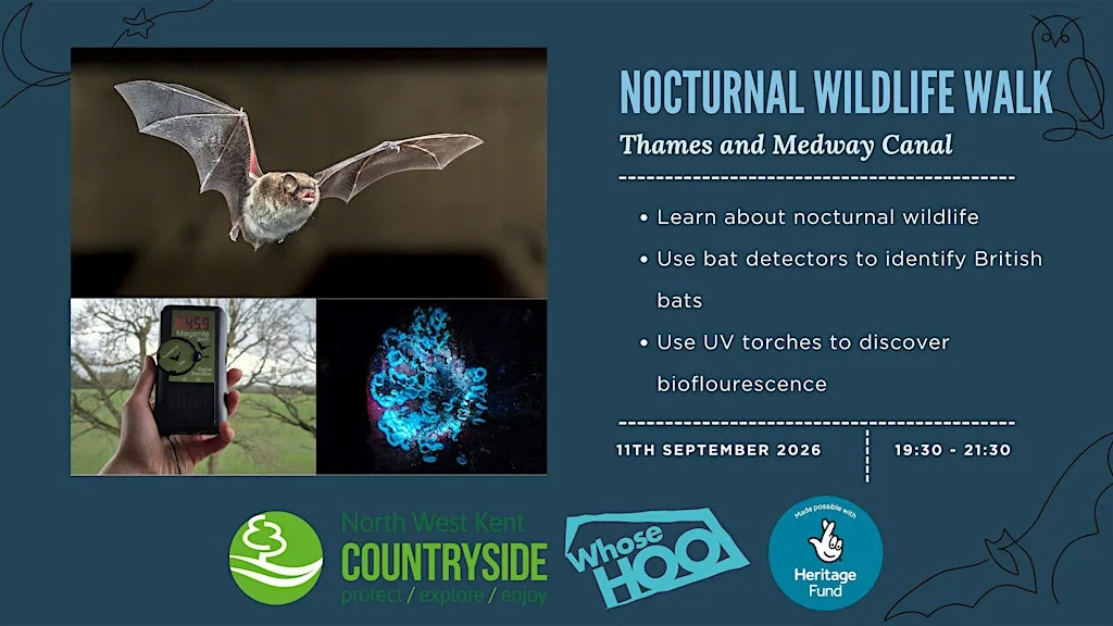 Nocturnal Wildlife Walk at Thames and Medway Canal