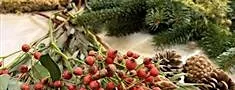 Christmas Mantle or Tablescape Arrangement Workshop 17 December at Floral Touch Bath