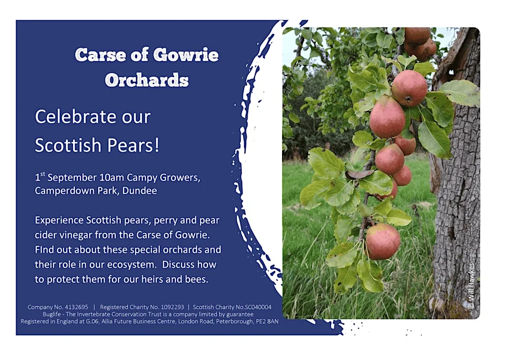 Celebrate your Scottish pears with Bug Life and Campy Growers at Campy Growers