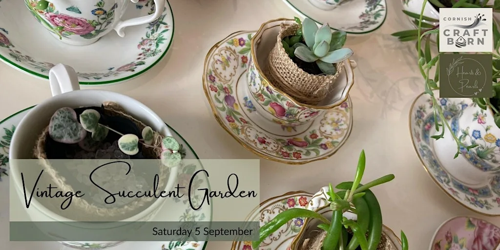 Succulent Vintage teacup garden at Cornish Craft Barn