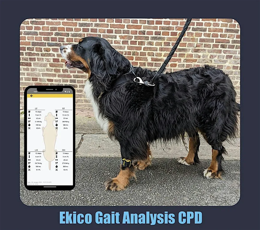 Ekico gait analysis boots demo morning
