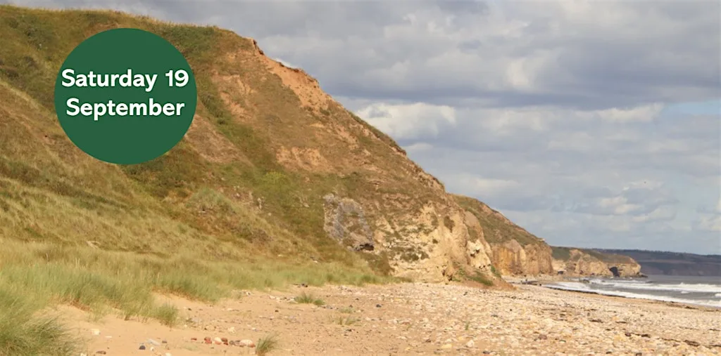 Geology of Crimdon Beach (Joint trip with NOUGS)
