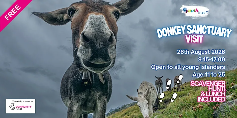Donkey Sanctuary & Scavenger Hunt - 26th August at Isle Of Wight Donkey Sanctuary