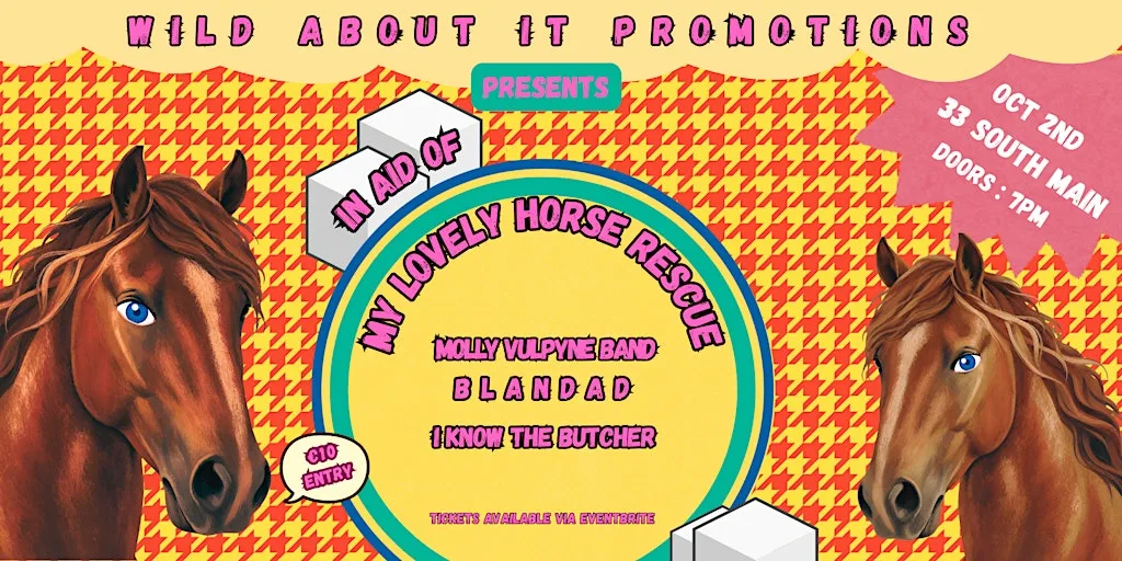 Molly Vulpyne Band, Blandad & I Know The Butcher LIVE in Naas