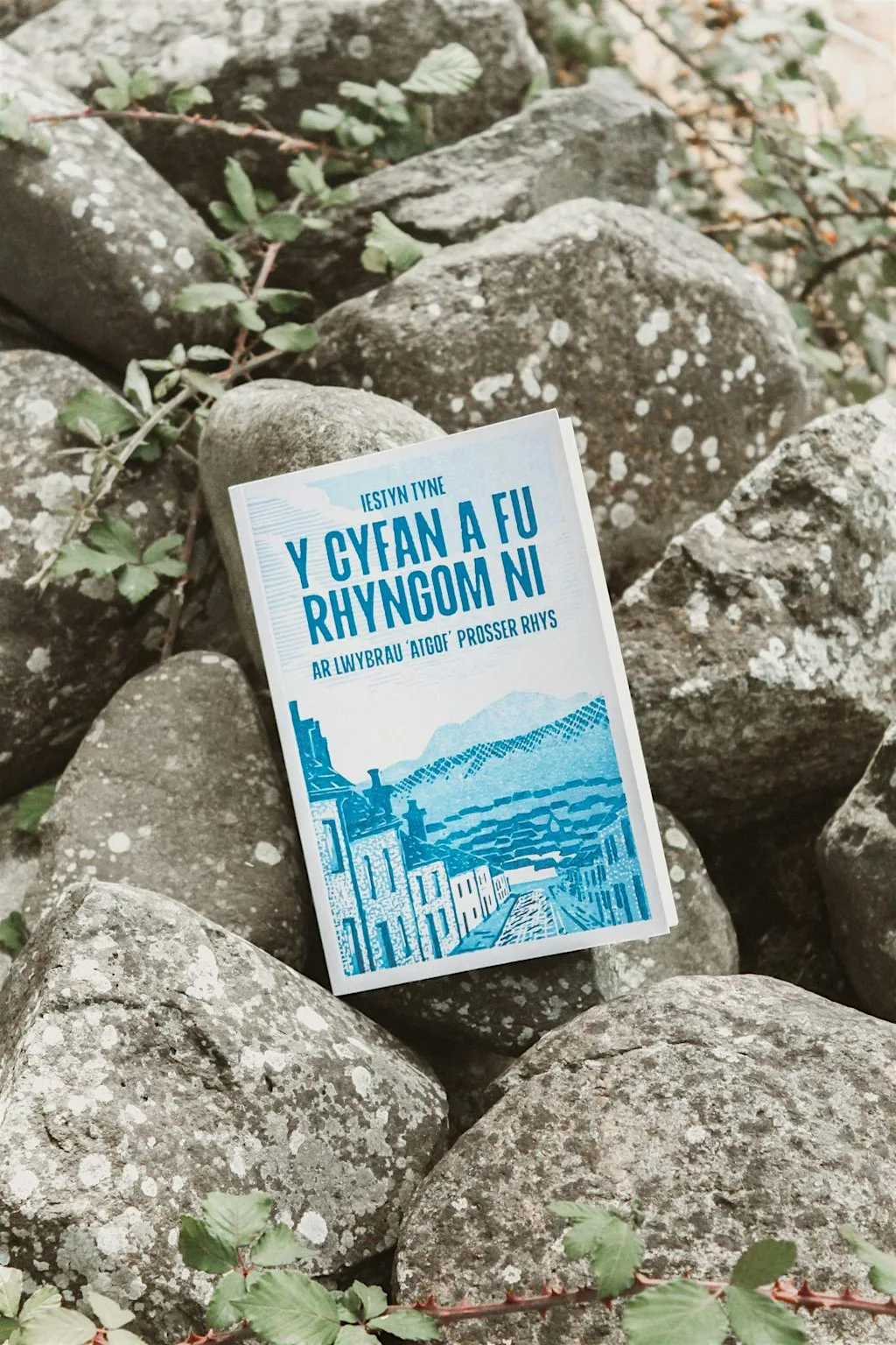 Iestyn Tyne in conversation with Jon Gower at Newport Rising Hub