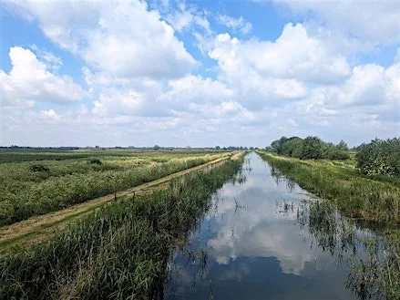 An archaeological journey through the Fens at Cambridge Central Library