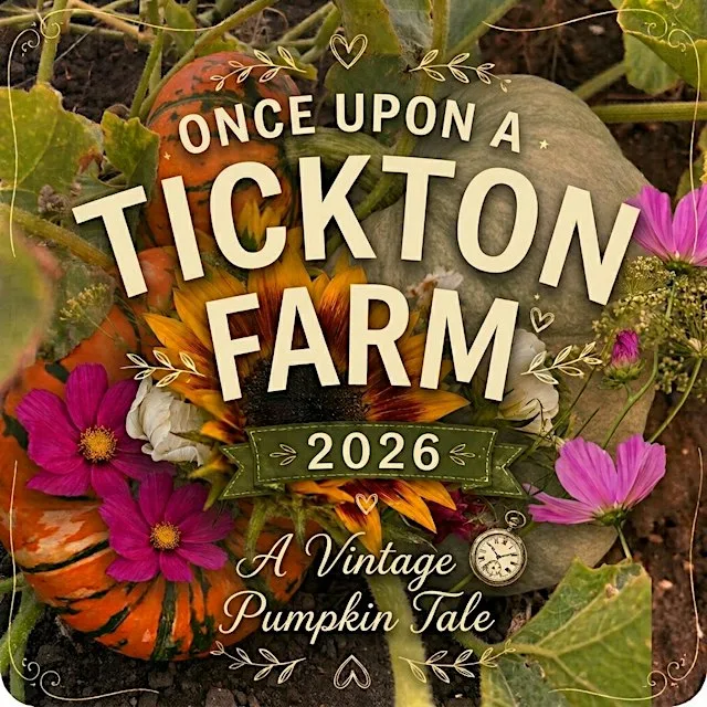 Pumpkin Picking At Tickton Farm at Tickton Farm
