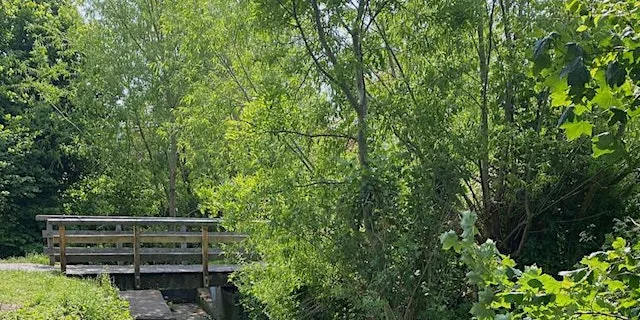 River Naturalness Survey demo