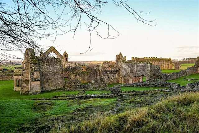 Haughmond Abbey - Historian Guided Tour and Museum Objects Preview