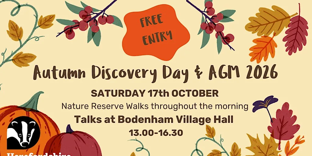 Autumn Discovery Day and AGM