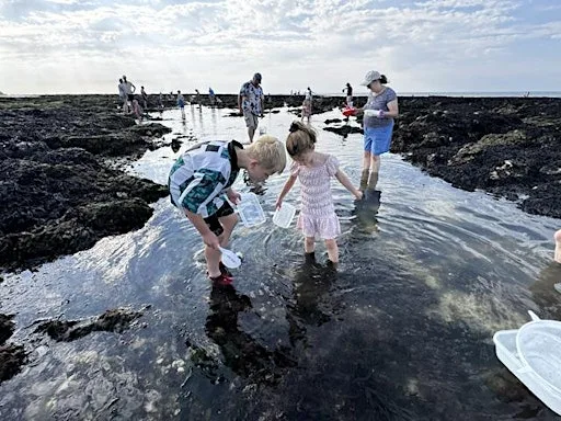 Seashore Safari - Westbrook Eco Fair 2026 at Westbrook Promenade