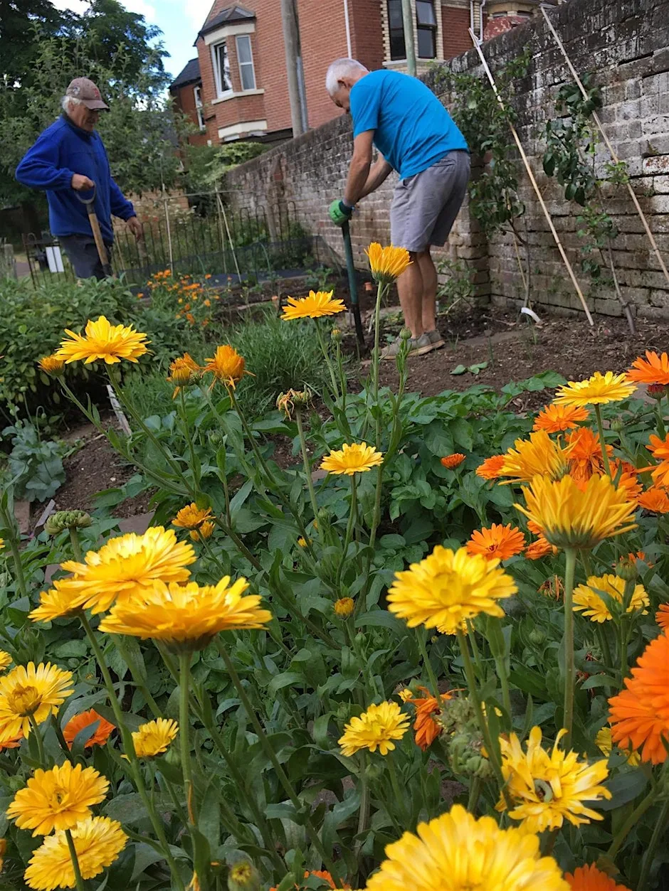 Volunteer Day - St Thomas Community Garden