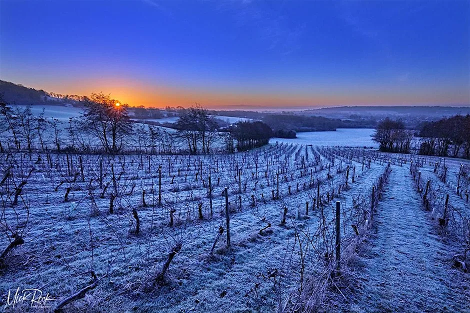 Christmas Cellar Door at Godstone Vineyards at Godstone Vineyards