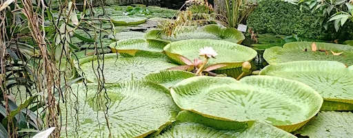 Art in Nature Afternoon at Wallace Park