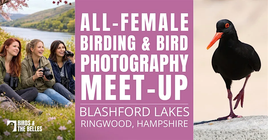 All-Female Bird & Bird Photography Morning
