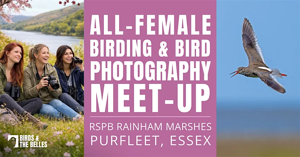 All-Female Bird & Bird Photography Morning at RSPB Rainham Marshes