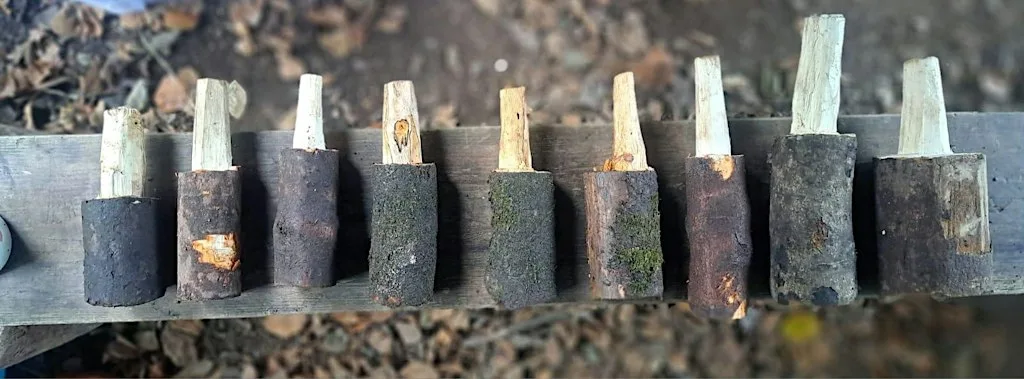 Knife & Needle: TREEcycling