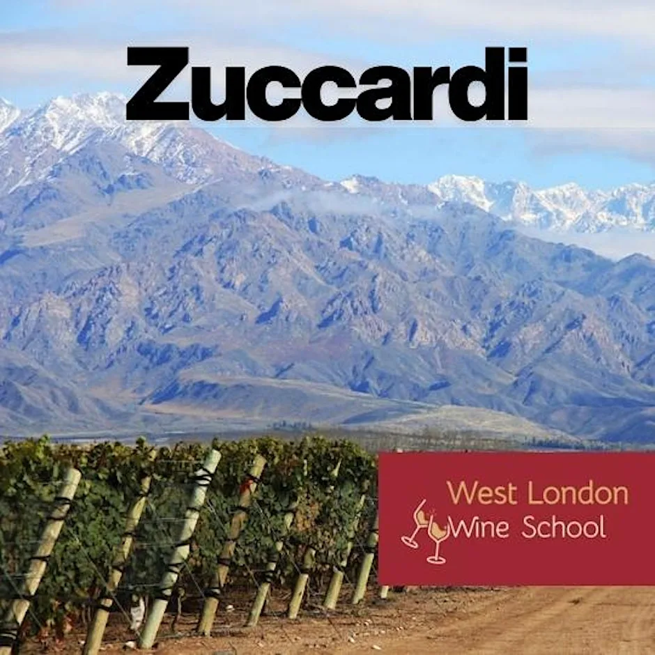 Zuccardi: Pure Mountain Wines from Argentina at West London Wine School