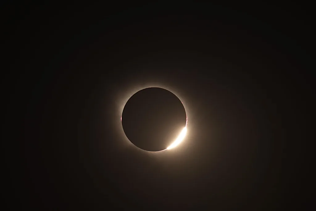 Chasing Totality: Roo's Journey Beneath the Eclipse
