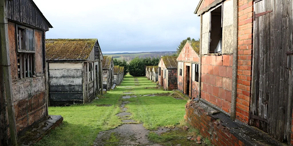Guided tour of Harperley POW Camp