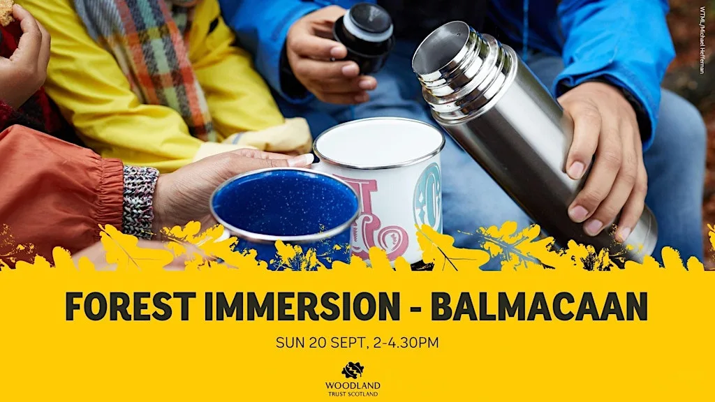 Forest Immersion at Balmacaan