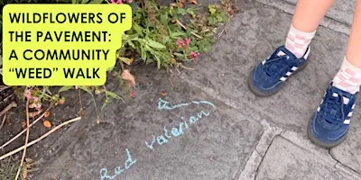 Wildflowers of the Pavement: A Community “Weed” Walk at Library & Information Service