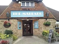 Psychic Nights One To One Readings at The Mallard