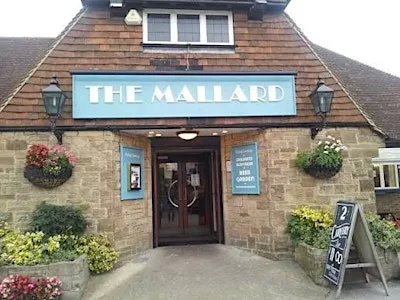 Psychic Nights One To One Readings at The Mallard