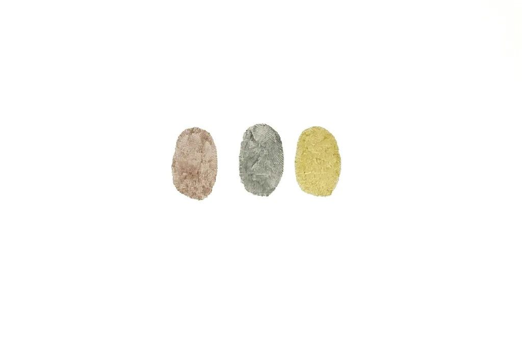 Primary Colours: Georgina Barney, Lucy Mayes & Keith Edwards at Primary