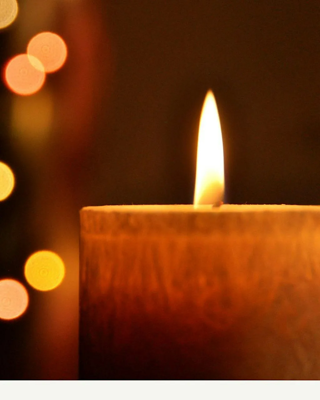 Paint the seasons | November | Winter Botanicals by Candlelight at The Chestnut Horse