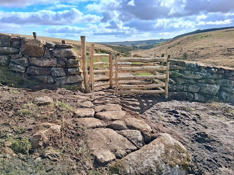 Brimpts Farm and Wistman's Wood, Dartmoor