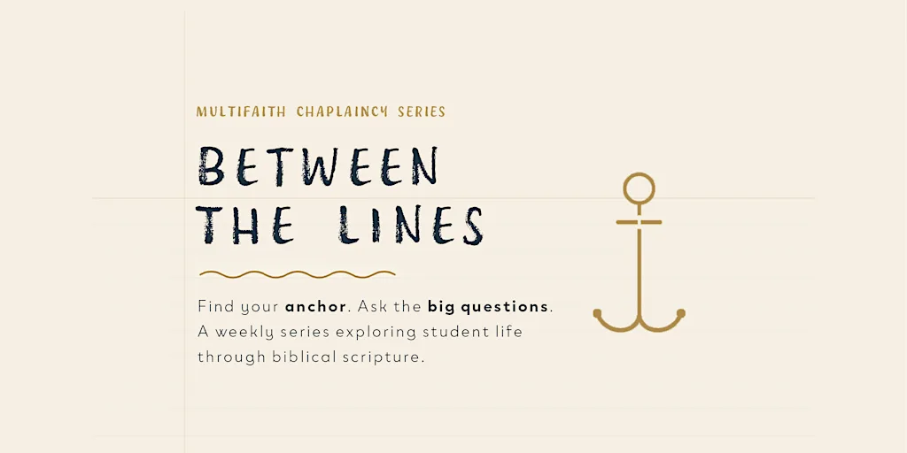 Between The Lines Penryn at Multifaith Chaplaincy, Tremough Barton Cottage 8