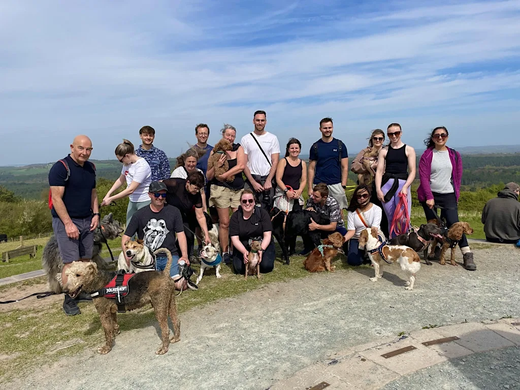 Community group dog walk - Warrington