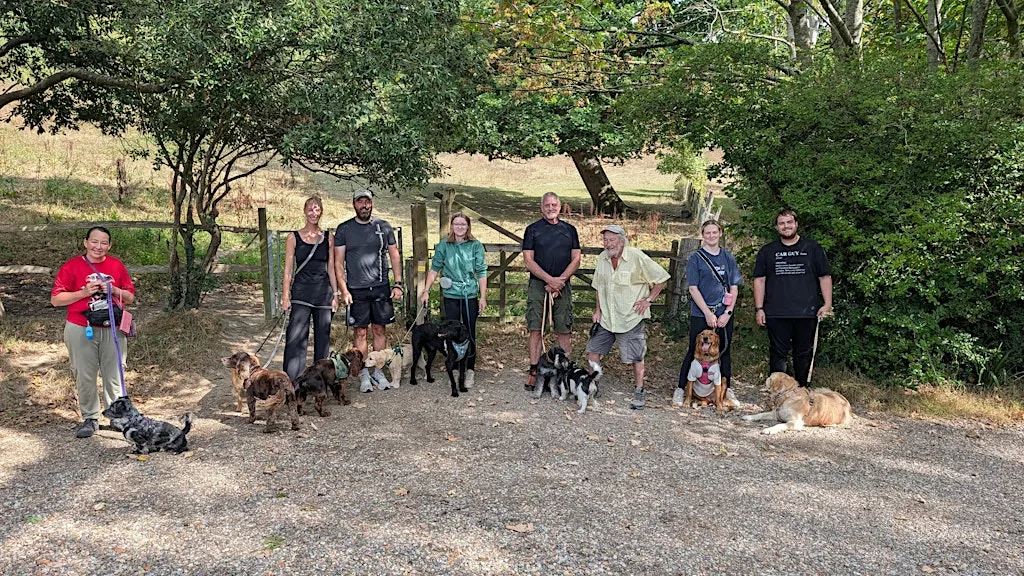 Community group dog walk - St Leonards-on-Sea at Bexhill Rd, Hastings, Saint Leonards-on-sea