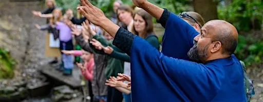 In the Company of Trees - free creative walk