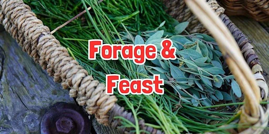 FORAGE & FEAST in Bransford (Worcestershire) at The Fold