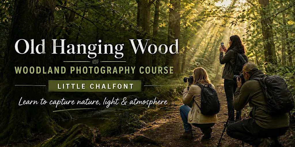 Woodland Photography Workshop at Old Hanging Wood at Old Hanging Wood