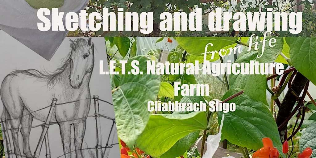 Sketching &Drawing Class