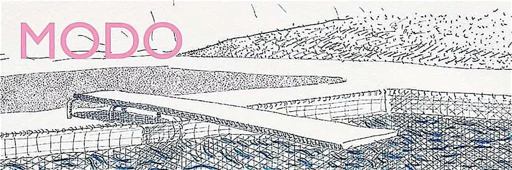 DAVID HOCKNEY: Beneath the Surface, Iconic Swimming Pools