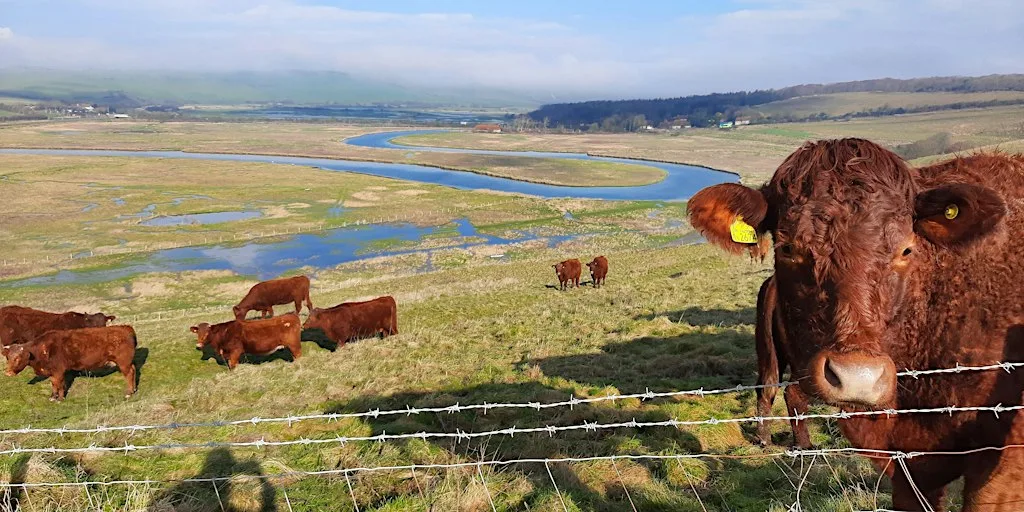 Autumn Tour through Cuckmere Haven.