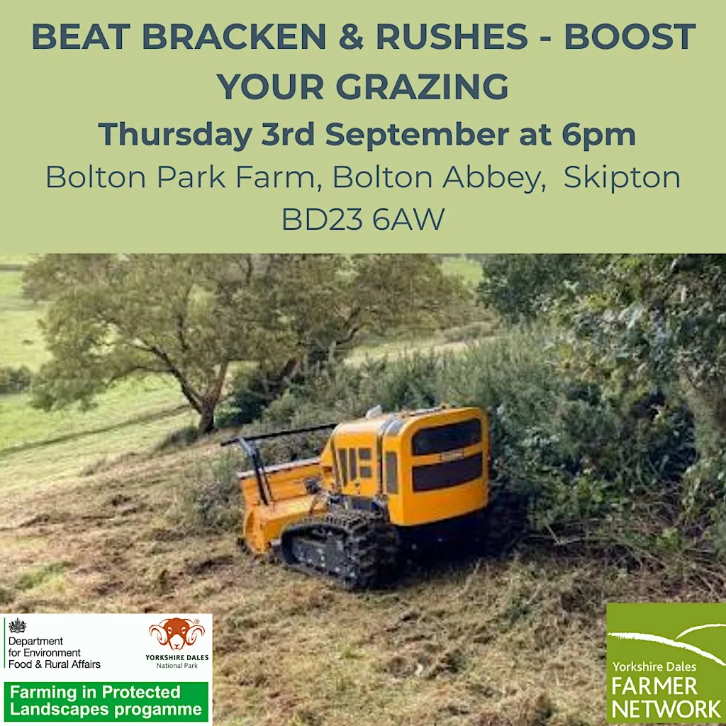 Beat Bracken & Rushes - Boost Your Grazing - Bolton Park Farm