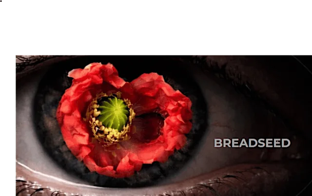 Screening of short film Breadseed and Q&A with filmmaker Linda Carmichael