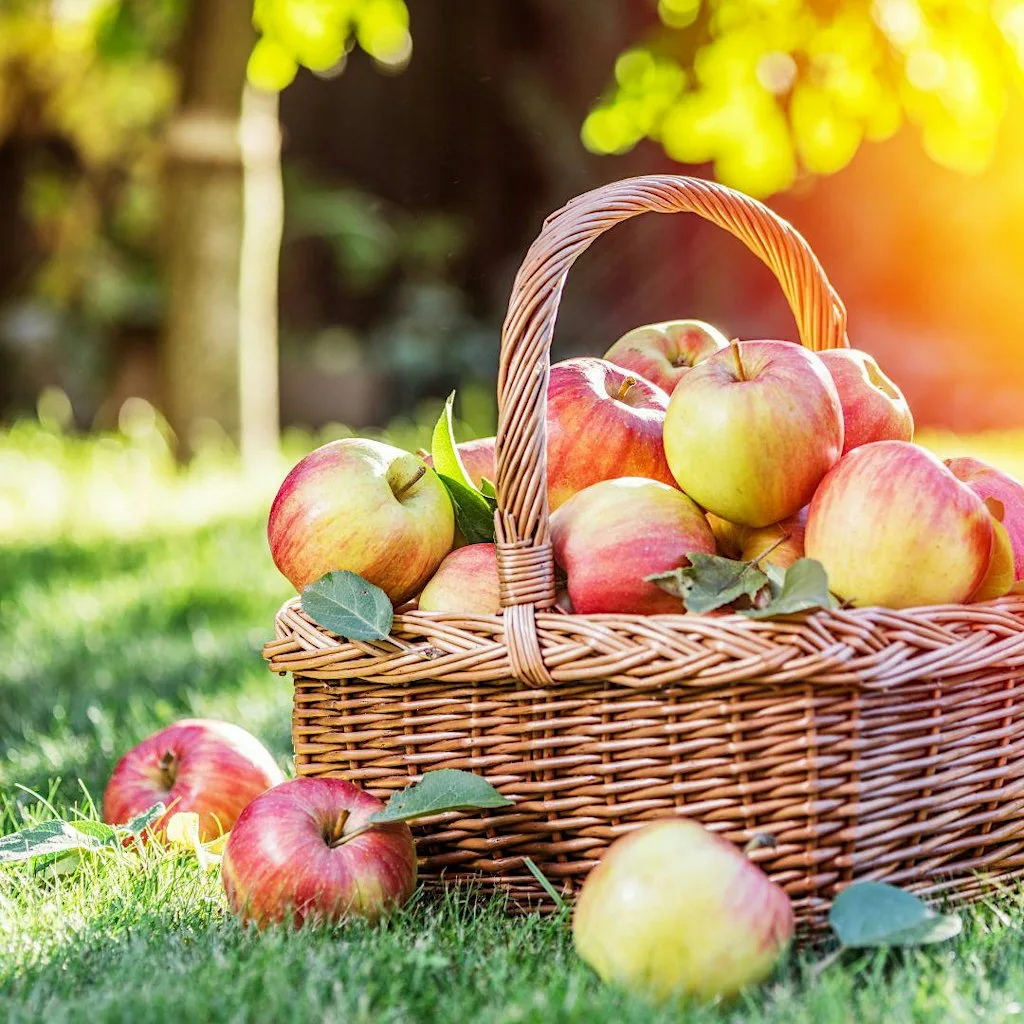 Autumn Harvest Flower Arranging Workshop at Gibside Stables, Newcastle