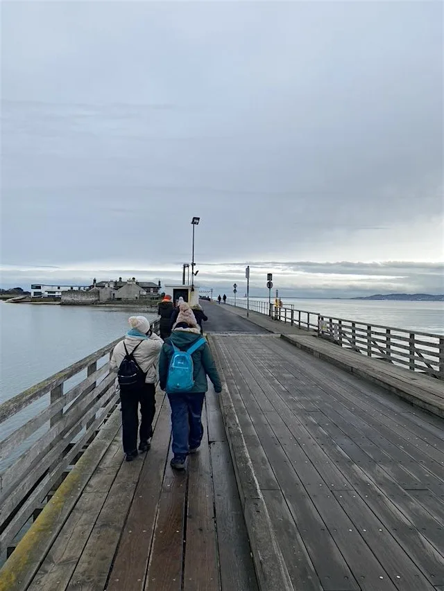 Bull Island to St. Anne’s Park Walk | Meet New People in Dublin