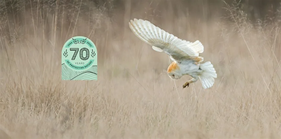 Wild Walk - Owlish Observations at Cossington Meadows
