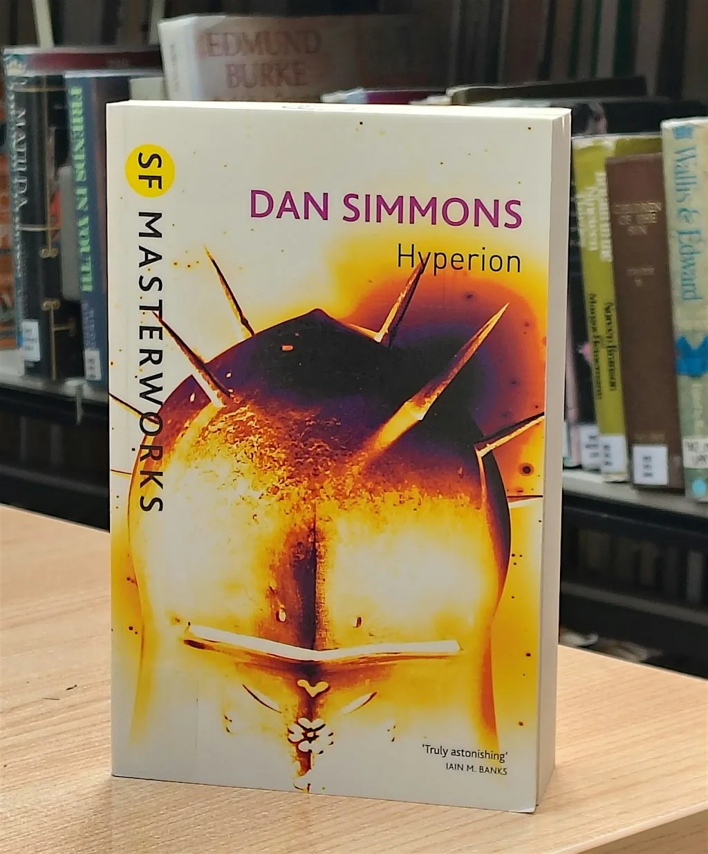 In Other Worlds Book Club at Cork City Library