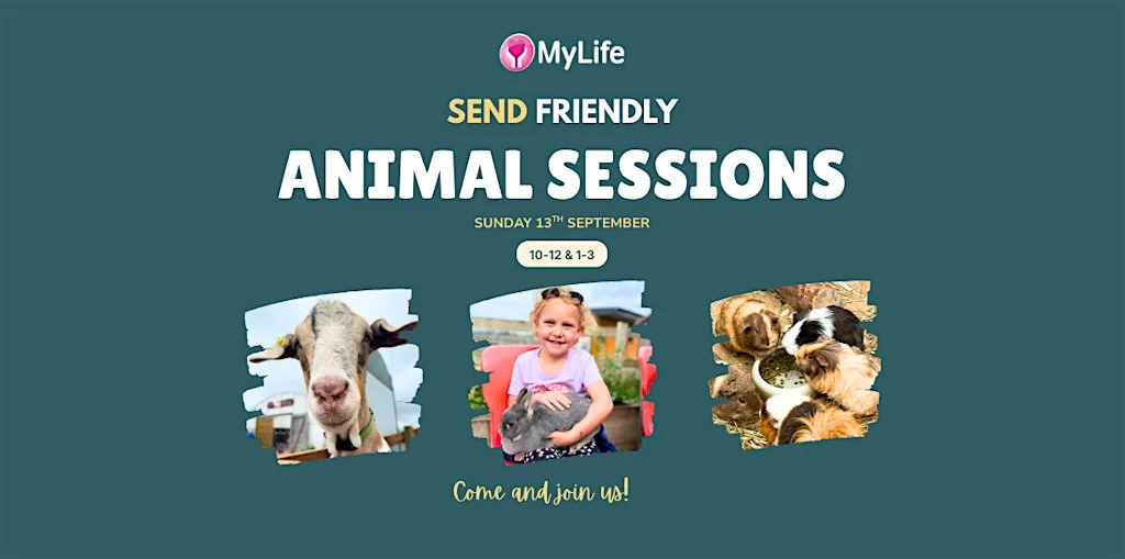 SEND Friendly Animal Sessions at Thompson House Equestrian Centre