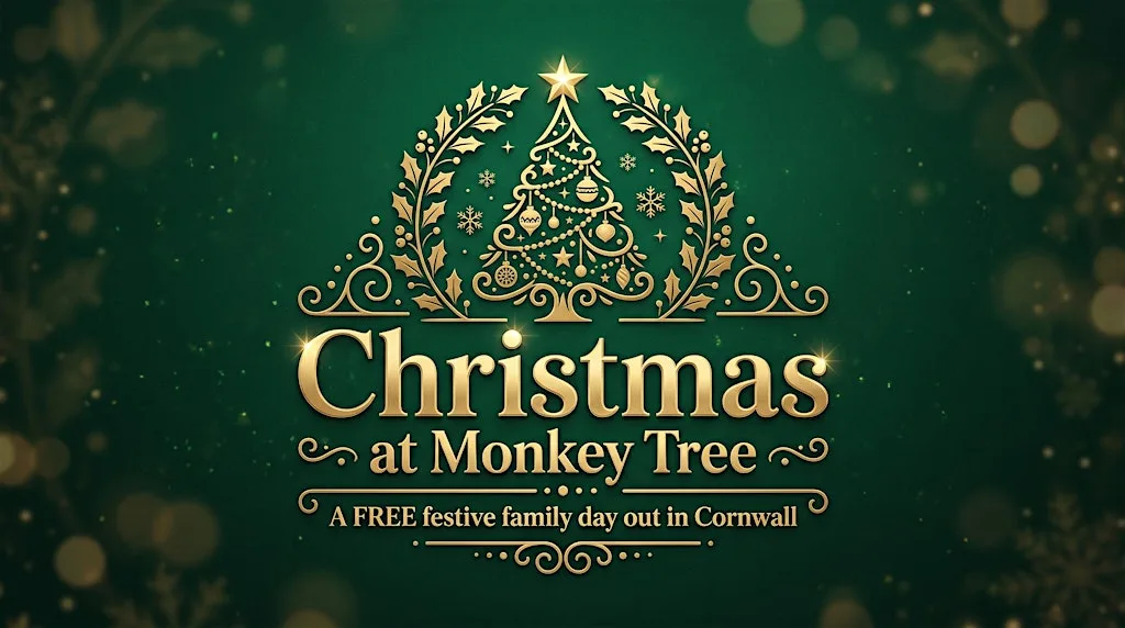 Christmas at Monkey Tree at Monkey Tree Holiday Park