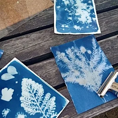 Cyanotype Workshop with Sally Gunnett & Fieldwork at Crystal Palace Park Farm