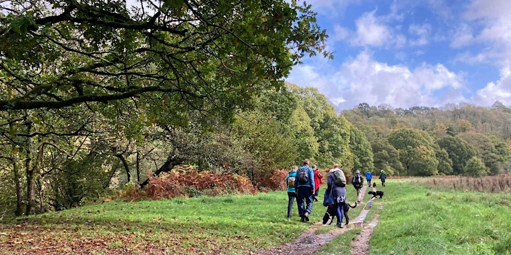 ZEST Singles Autumn River Walk at the Dartington Estate